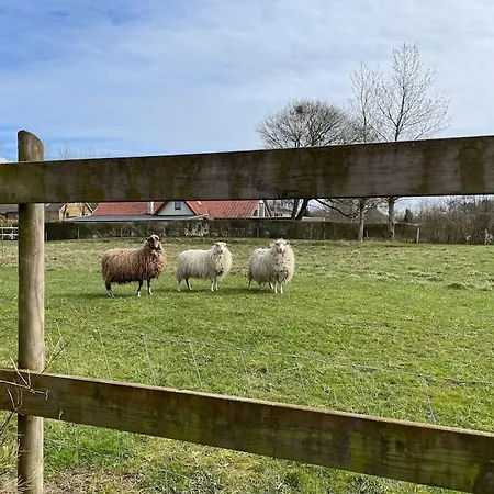 I Lille Lokalsamfund Villa Jelling